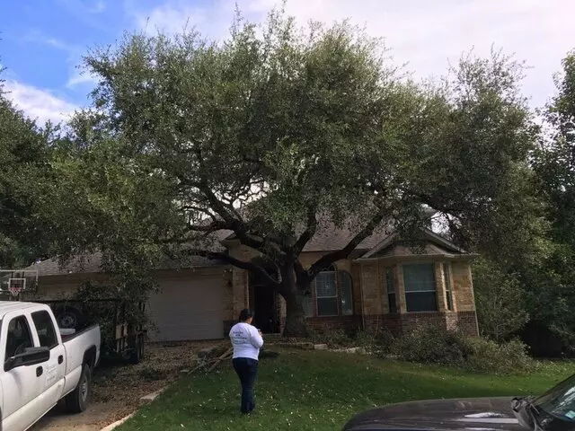 ArborLogics