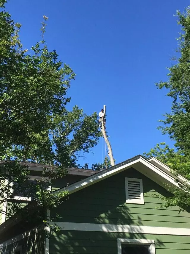 ArborLogics
