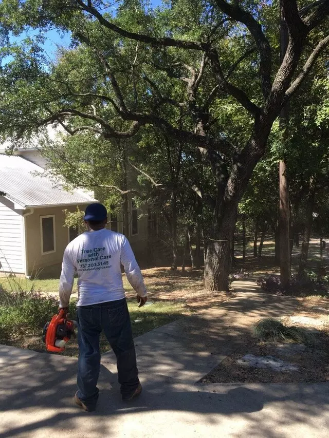 ArborLogics