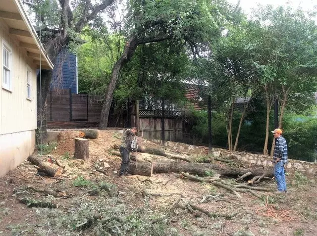 ArborLogics