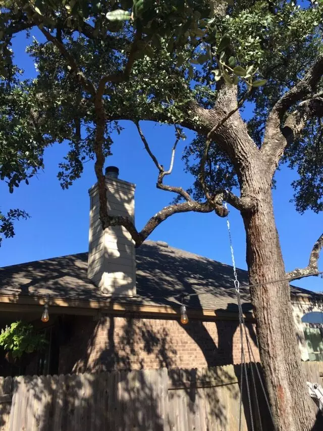 ArborLogics