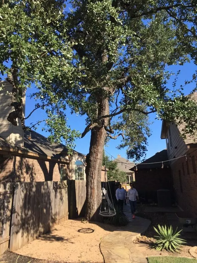 ArborLogics