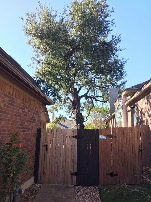 ArborLogics