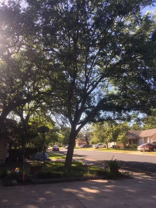 ArborLogics