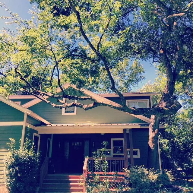 ArborLogics