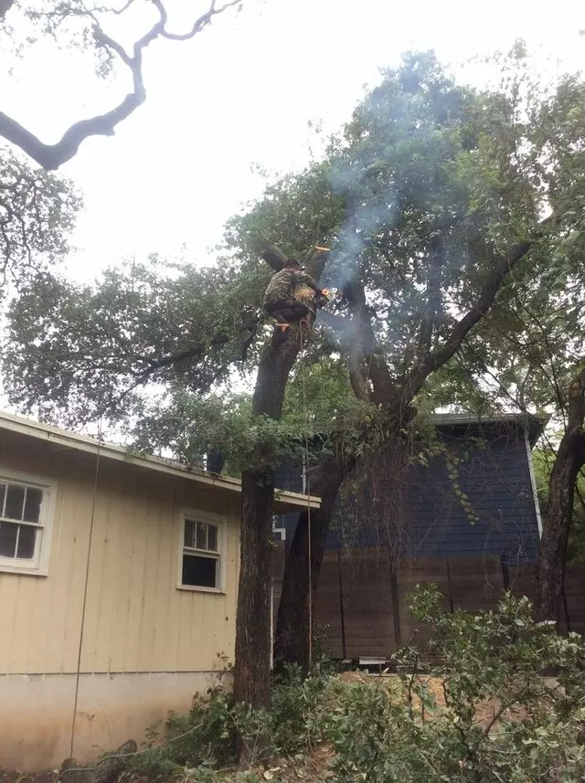 ArborLogics