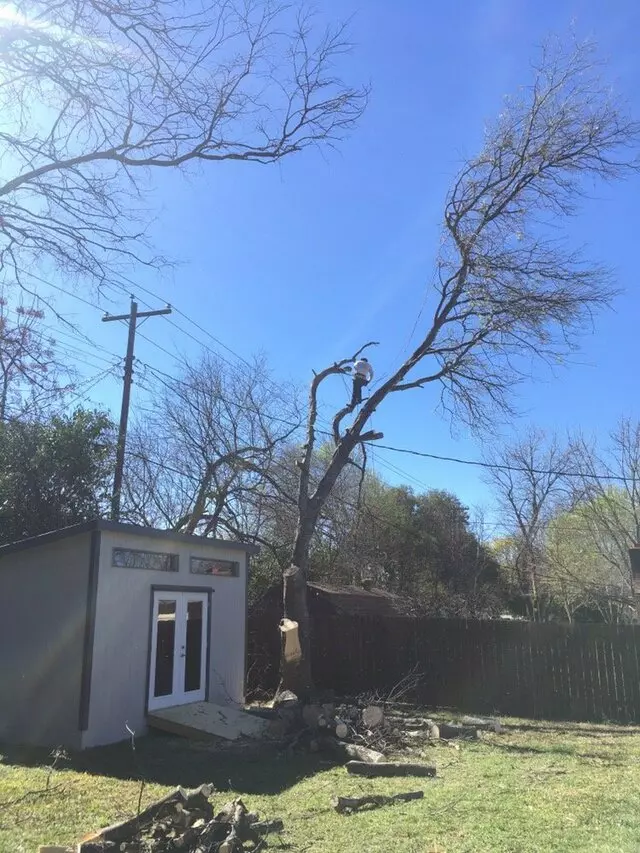ArborLogics