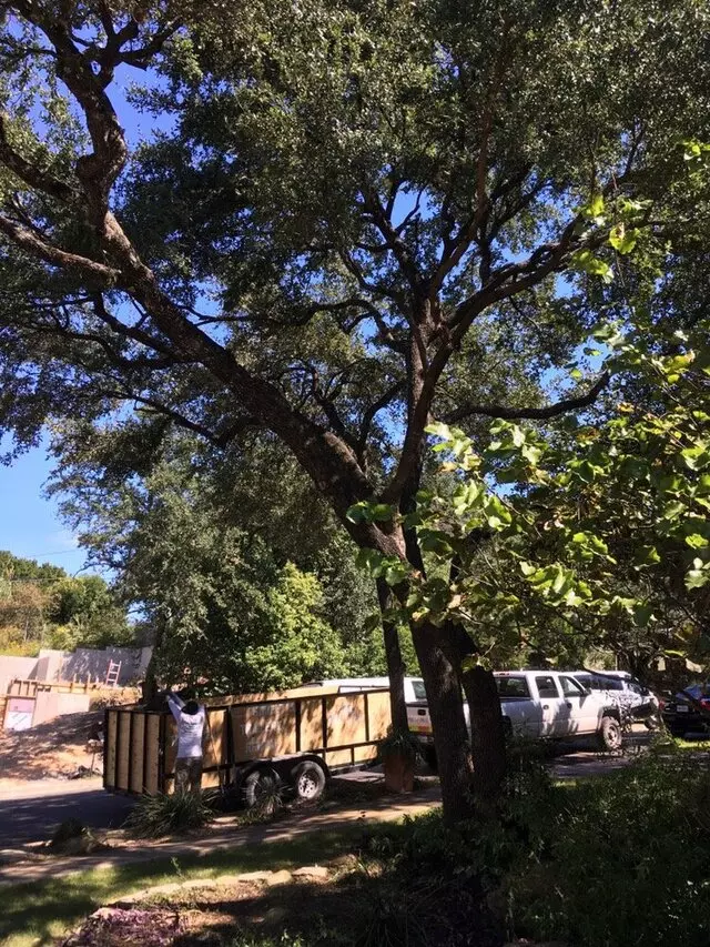 ArborLogics