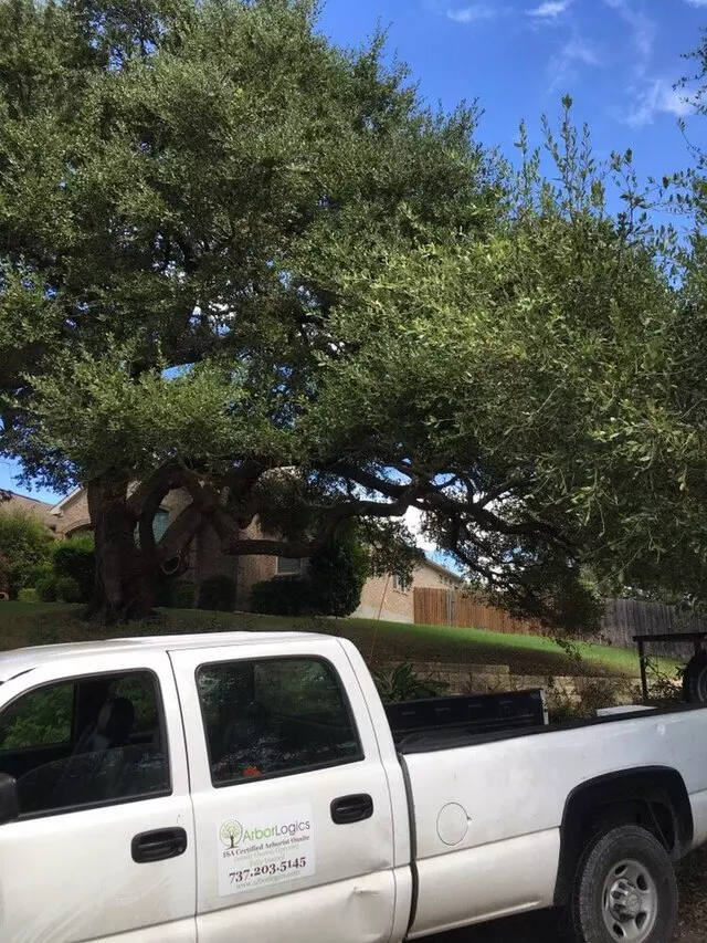 ArborLogics