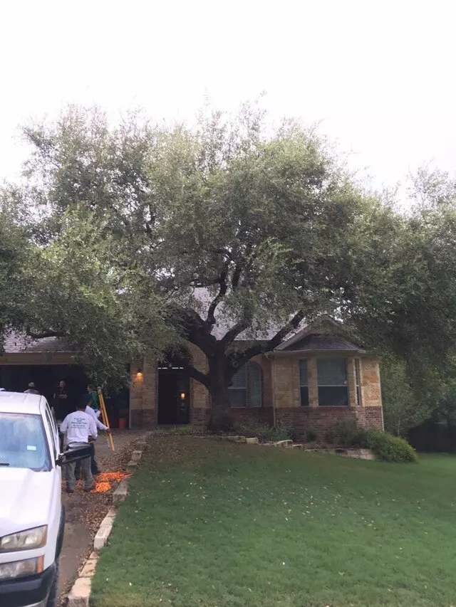 ArborLogics