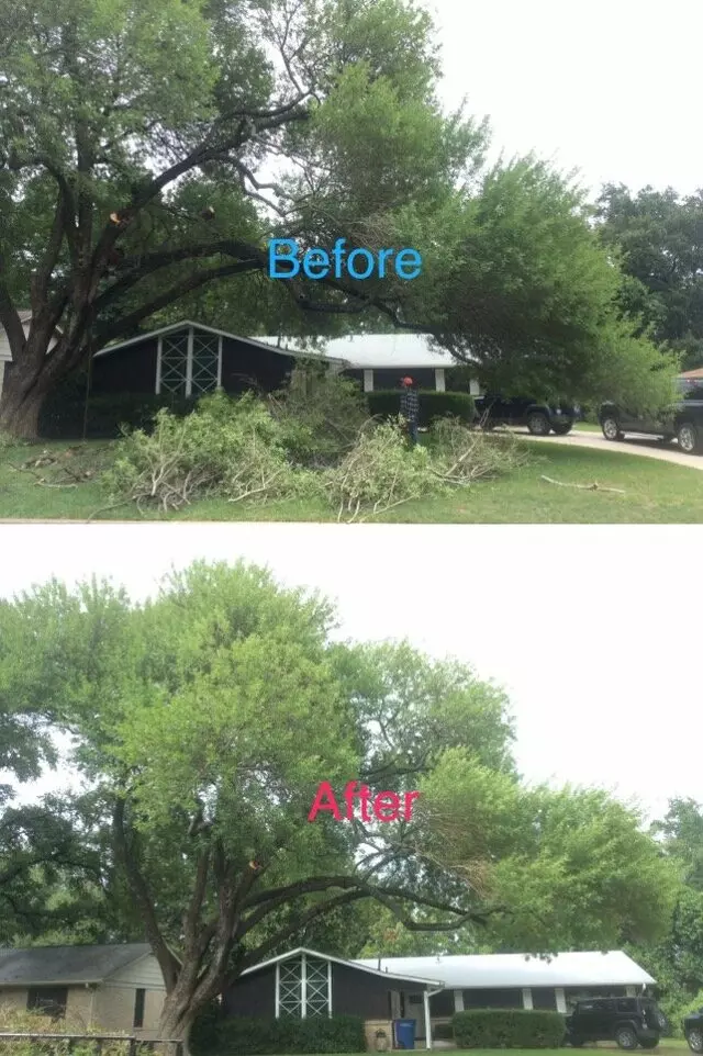ArborLogics