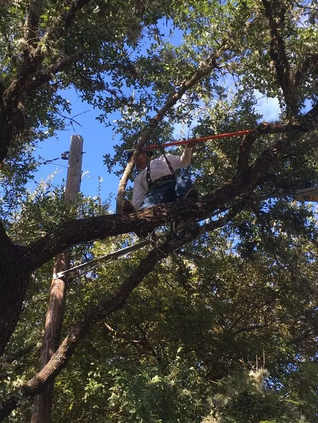 ArborLogics