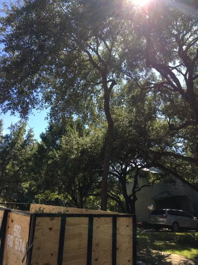 ArborLogics
