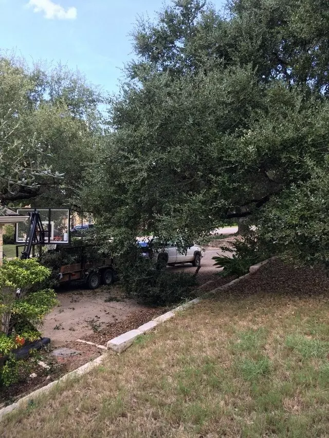 ArborLogics