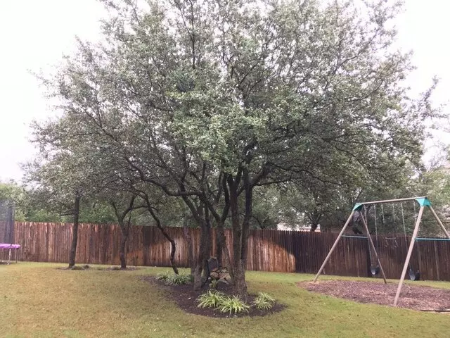 ArborLogics