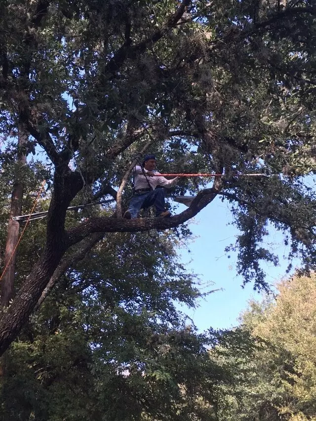 ArborLogics
