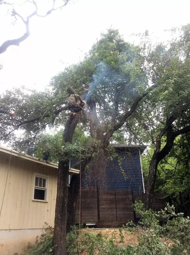 ArborLogics