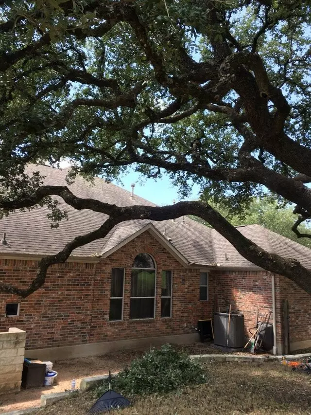 ArborLogics