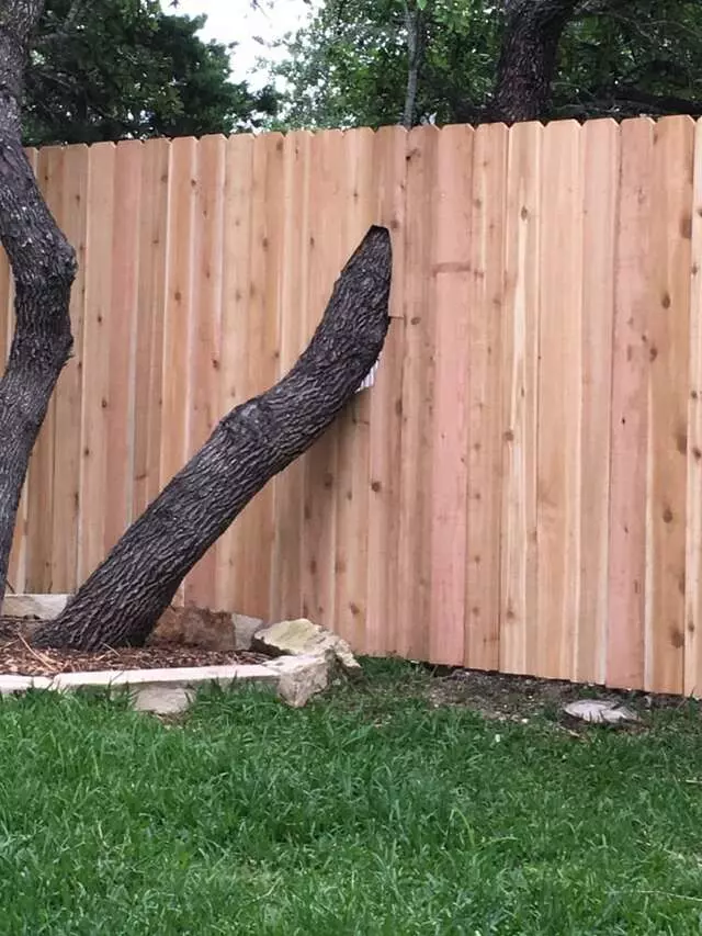 Allstar Fence and Gate