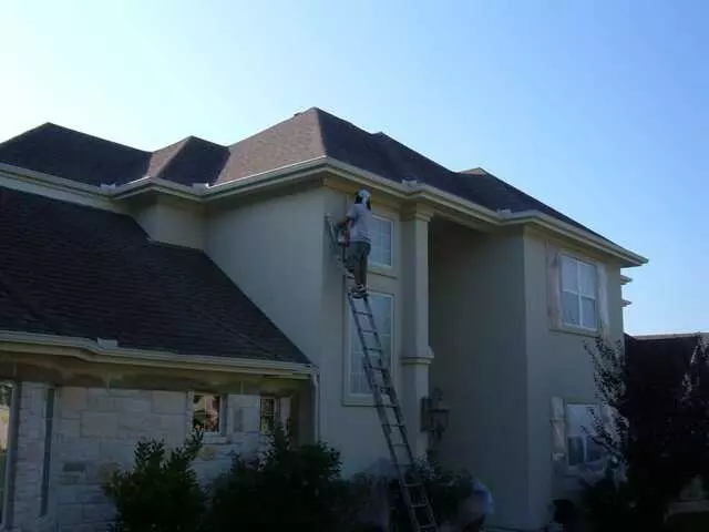 Alex Painting