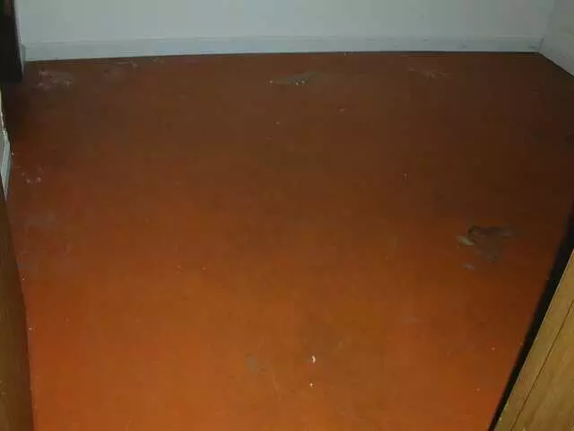 Archie’s Concrete Design