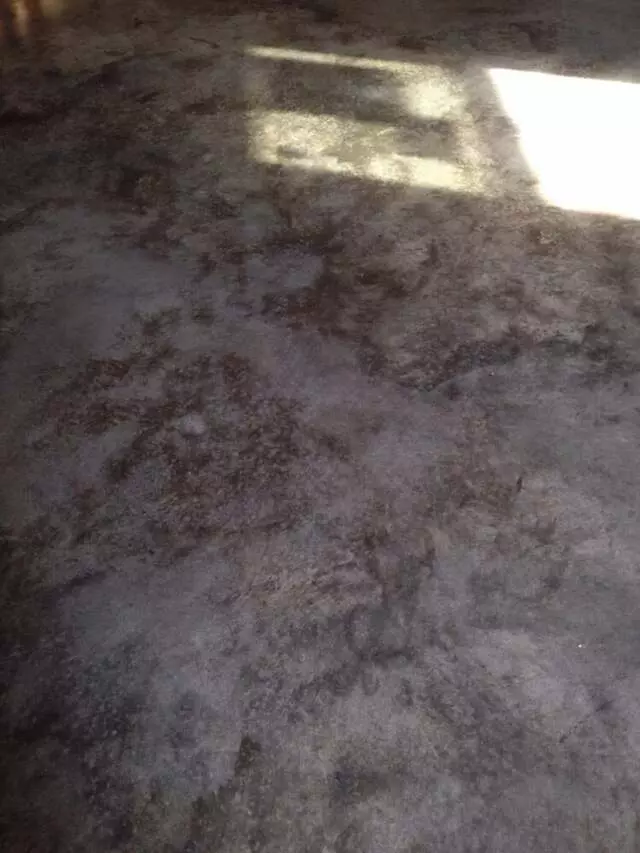 Archie’s Concrete Design