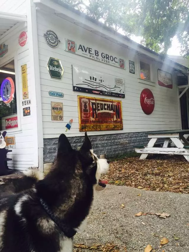 Avenue B Grocery