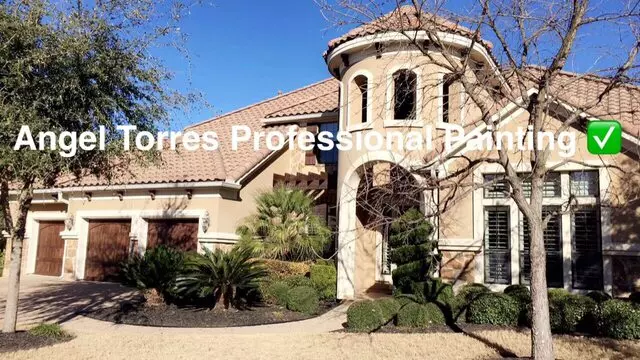 Angel Torres Professional Painting