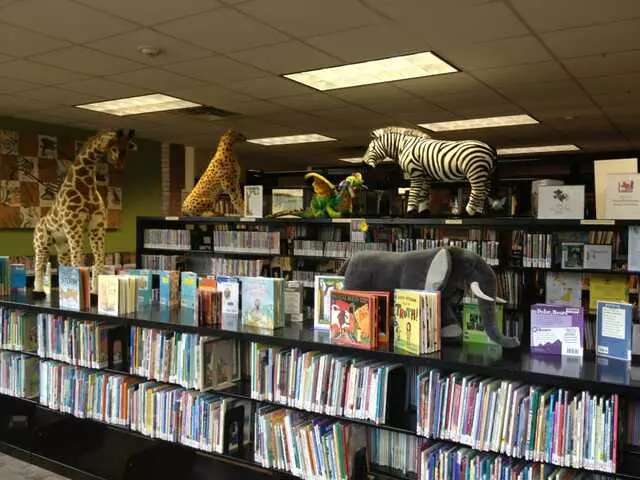 Austin Public Library - Howson