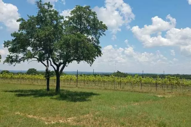 All About Central Texas
