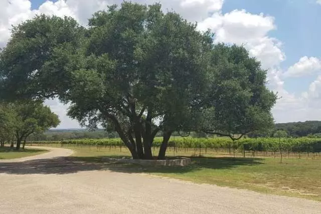 All About Central Texas
