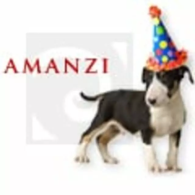 Amanzi Party Rentals